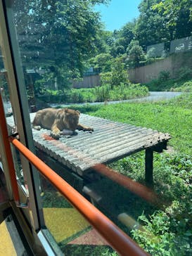 東京動物園協会_多摩動物公園に投稿された画像（2025/6/29）