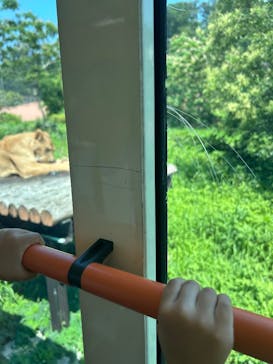 東京動物園協会_多摩動物公園に投稿された画像（2025/6/29）