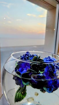 新江ノ島水族館に投稿された画像（2025/6/29）