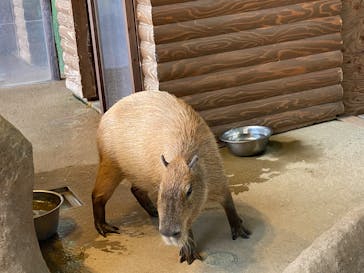 新江ノ島水族館に投稿された画像（2025/6/29）