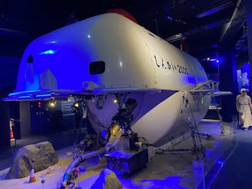 新江ノ島水族館に投稿された画像（2025/6/29）