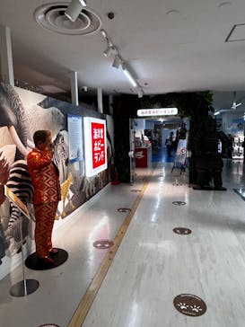 海洋堂ホビーランドに投稿された画像（2025/6/29）