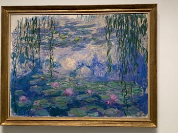 モネ 睡蓮のとき（豊田会場）に投稿された画像（2025/6/29）