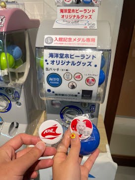 海洋堂ホビーランドに投稿された画像（2025/6/29）