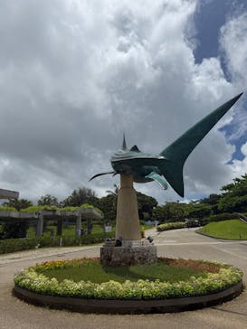 沖縄美ら海水族館に投稿された画像（2025/6/29）