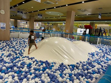 キッズランドUS 大阪和泉店に投稿された画像（2025/6/29）