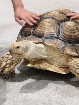 アニタッチ 東京ドームシティに投稿された画像（2025/6/29）