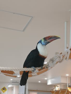 アニタッチ 東京ドームシティに投稿された画像（2025/6/29）