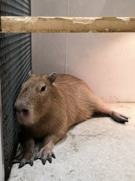 アニタッチ 東京ドームシティに投稿された画像（2025/6/29）