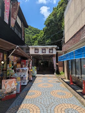 秋芳洞に投稿された画像（2025/6/29）