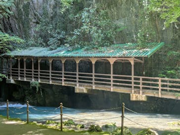 秋芳洞に投稿された画像（2025/6/29）