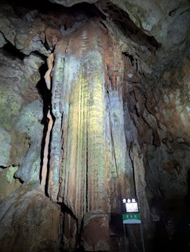 秋芳洞に投稿された画像（2025/6/29）