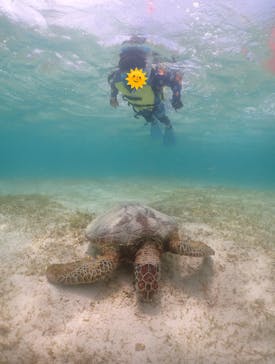 元気玉に投稿された画像（2025/6/29）