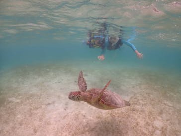 元気玉に投稿された画像（2025/6/29）