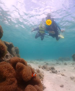 元気玉に投稿された画像（2025/6/29）