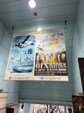 サンシャイン水族館に投稿された画像（2025/6/29）