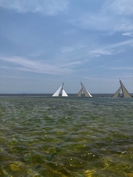 葛西臨海水族園に投稿された画像（2025/6/29）