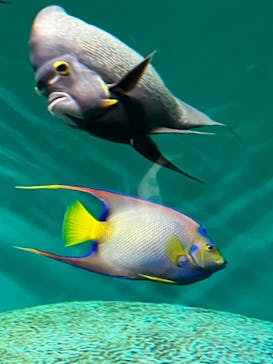 葛西臨海水族園に投稿された画像（2025/6/29）