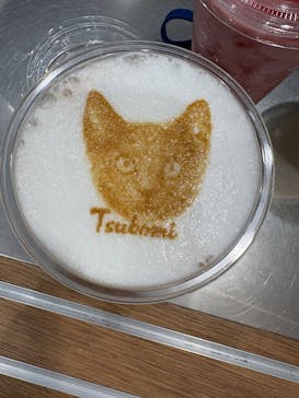 Cat Café MOFF イーアス沖縄豊崎店に投稿された画像（2025/6/29）