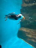 アクアワールド茨城県大洗水族館に投稿された画像（2025/6/29）