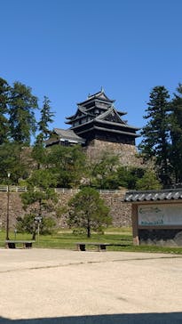 松江城に投稿された画像（2025/6/29）