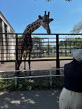 宇都宮動物園に投稿された画像（2025/6/29）