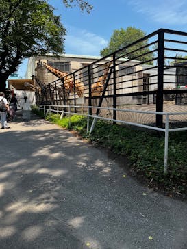 宇都宮動物園に投稿された画像（2025/6/29）