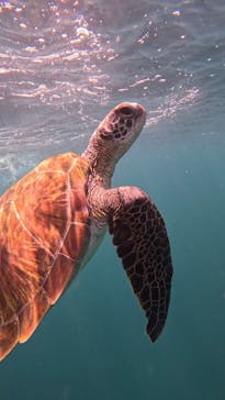  マリンショップHAPPYに投稿された画像（2025/6/29）