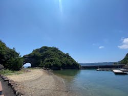 太地町立くじらの博物館に投稿された画像（2025/6/29）