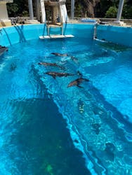太地町立くじらの博物館に投稿された画像（2025/6/29）