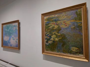 モネ 睡蓮のとき（豊田会場）に投稿された画像（2025/6/29）