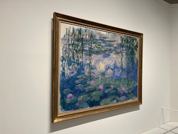 モネ 睡蓮のとき（豊田会場）に投稿された画像（2025/6/29）