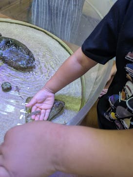 南知多ビーチランド＆南知多おもちゃ王国に投稿された画像（2025/6/29）