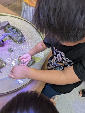 南知多ビーチランド＆南知多おもちゃ王国に投稿された画像（2025/6/29）