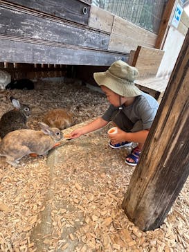 まかいの牧場に投稿された画像（2025/6/29）