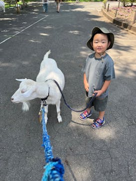 まかいの牧場に投稿された画像（2025/6/29）