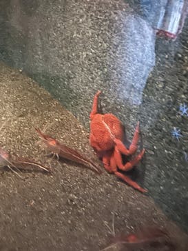 葛西臨海水族園に投稿された画像（2025/6/29）