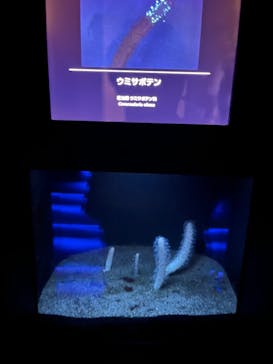 葛西臨海水族園に投稿された画像（2025/6/29）