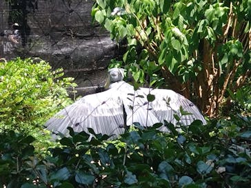 恩賜上野動物園に投稿された画像（2025/6/29）