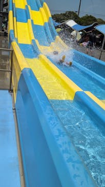 蓮沼ウォーターガーデンに投稿された画像（2025/6/29）