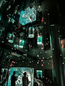 マクセル アクアパーク品川に投稿された画像（2025/6/29）