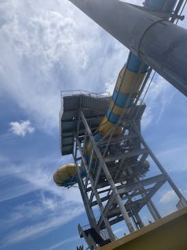 蓮沼ウォーターガーデンに投稿された画像（2025/6/30）