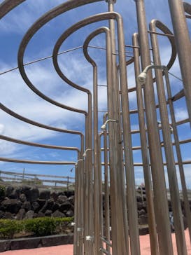 蓮沼ウォーターガーデンに投稿された画像（2025/6/30）