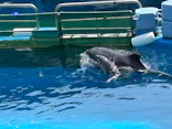 仙台うみの杜水族館に投稿された画像（2025/6/30）