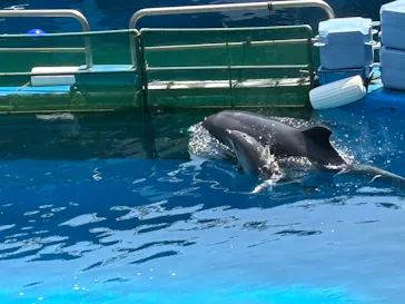 仙台うみの杜水族館に投稿された画像（2025/6/30）