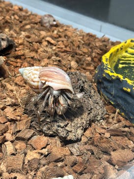 AOAO SAPPOROに投稿された画像（2025/6/30）