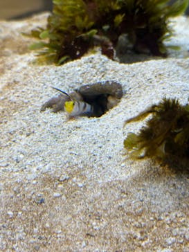 AOAO SAPPOROに投稿された画像（2025/6/30）