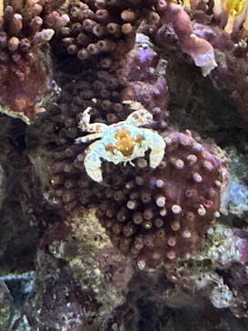 AOAO SAPPOROに投稿された画像（2025/6/30）