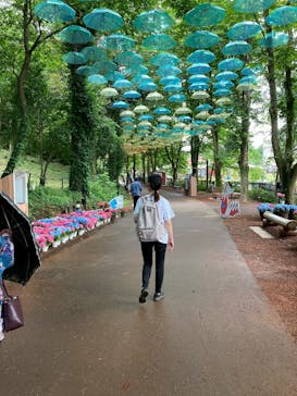 ムーミンバレーパークに投稿された画像（2025/6/30）