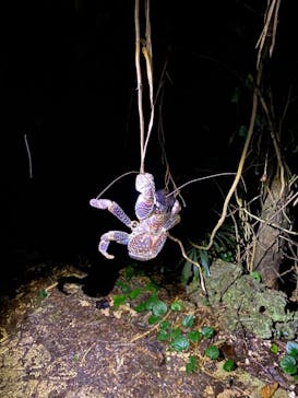 宮古島マリンショップSmileyに投稿された画像（2025/6/30）